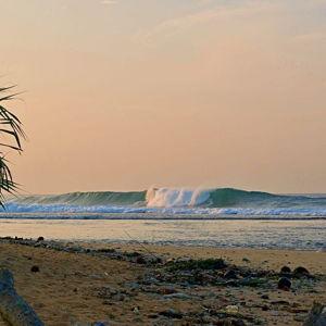 Surfboard Rentals in Weligama and Hikkaduwa