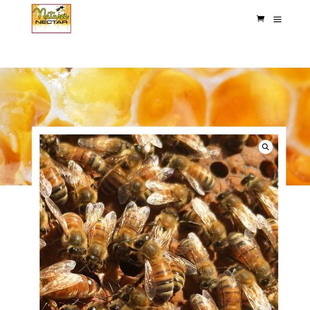3lb package of Italian honey bees with queen from Nature’s Nectar