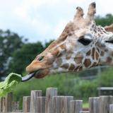 Oklahoma City Zoo