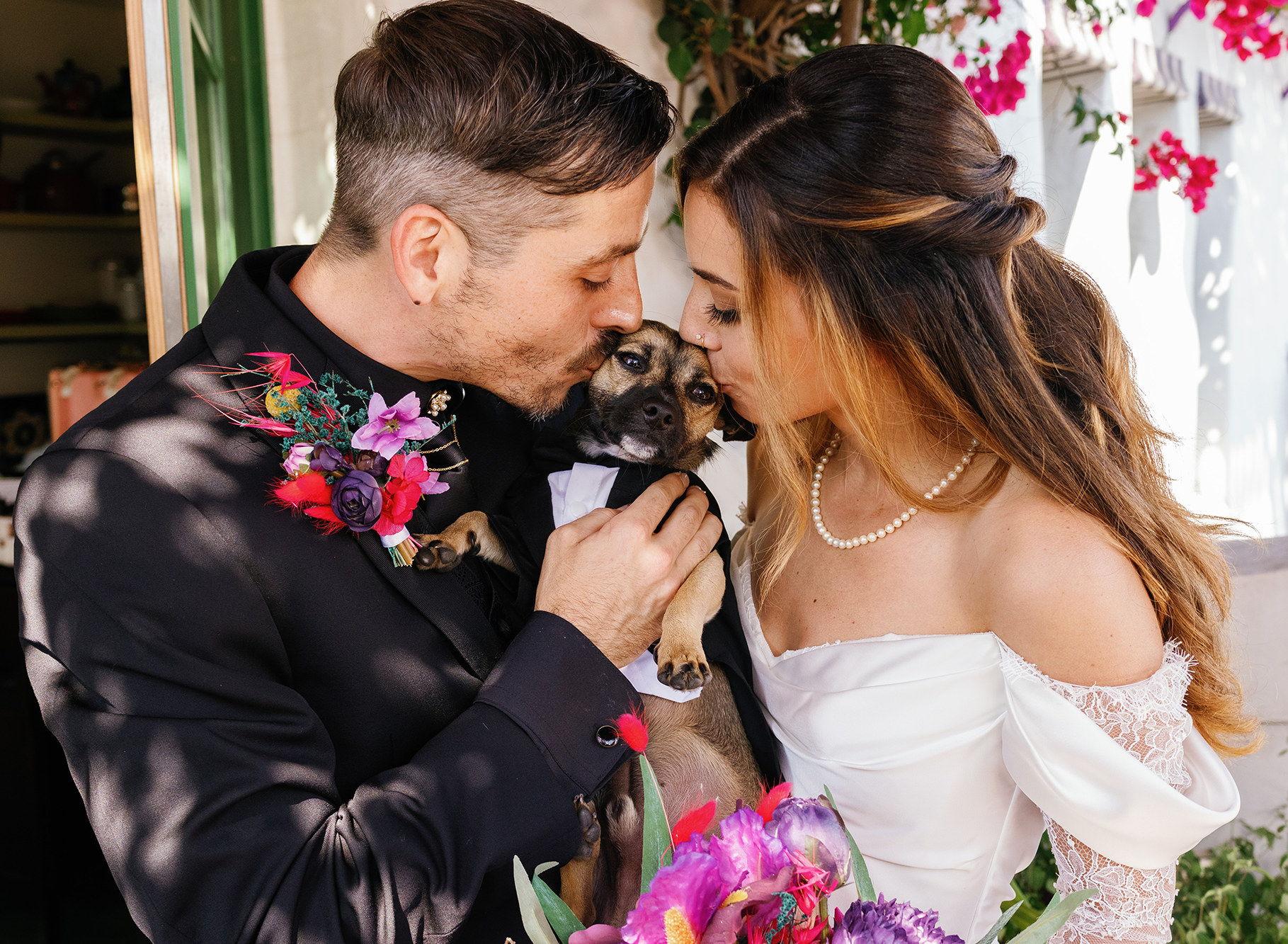 The Wedding Website of Dylan Monroe and Molly Monroe