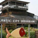 Atlantic City Aquarium