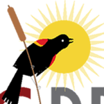 The Write Place - Tuleburg Press