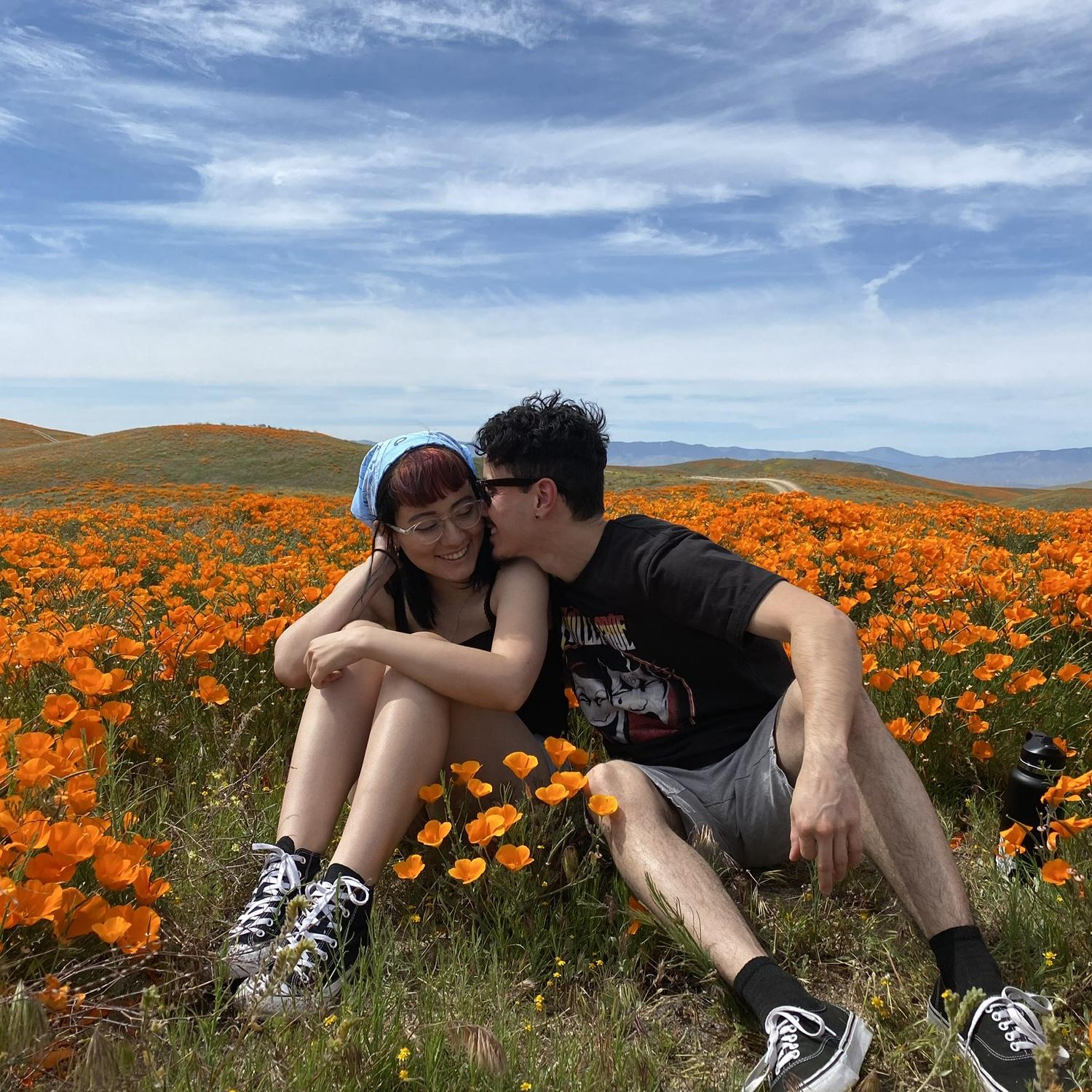 California Poppy Reserve | 2020