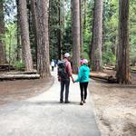 Yosemite National Park