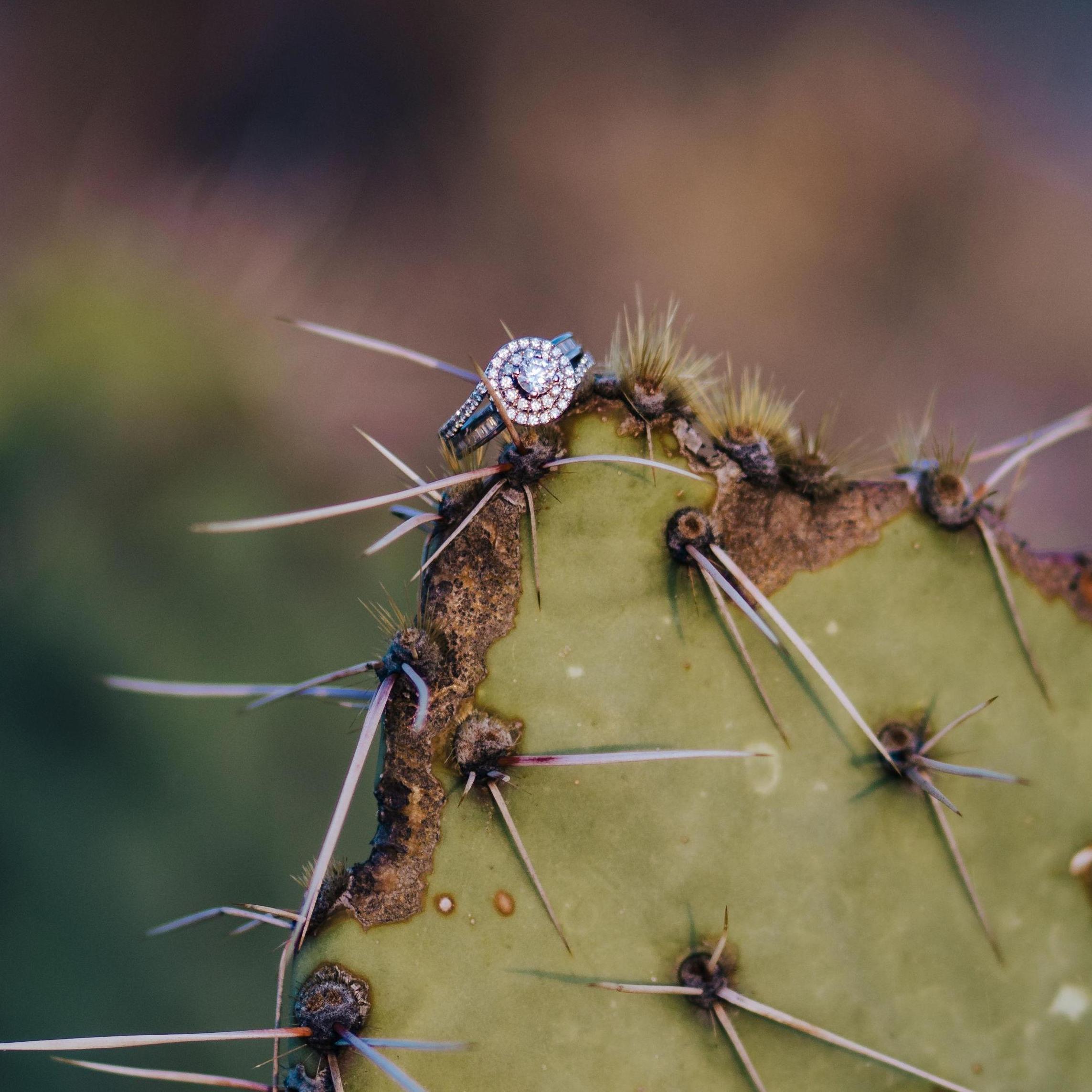 The beautiful engagement ring! (Danny picked it out himself).