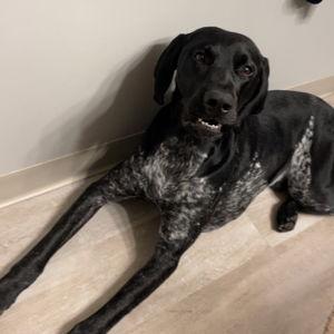 OzZiE wOuLd LiKe A liTtLe BrOtHeR... PLZ