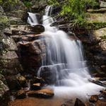 Maxwell Falls Lower Trail