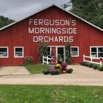 Ferguson's Orchards