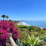 Butterfly Beach