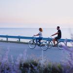 Rent Bikes or Kayaks