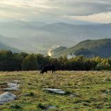 Bearwallow Mountain Trail
