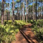 Grayton Beach Hike & Bike Trail