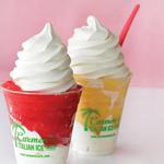 Carmen's Italian Ice