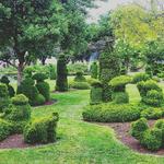 Topiary Garden Park