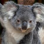 San Diego Zoo