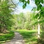 Bradley Palmer State Park