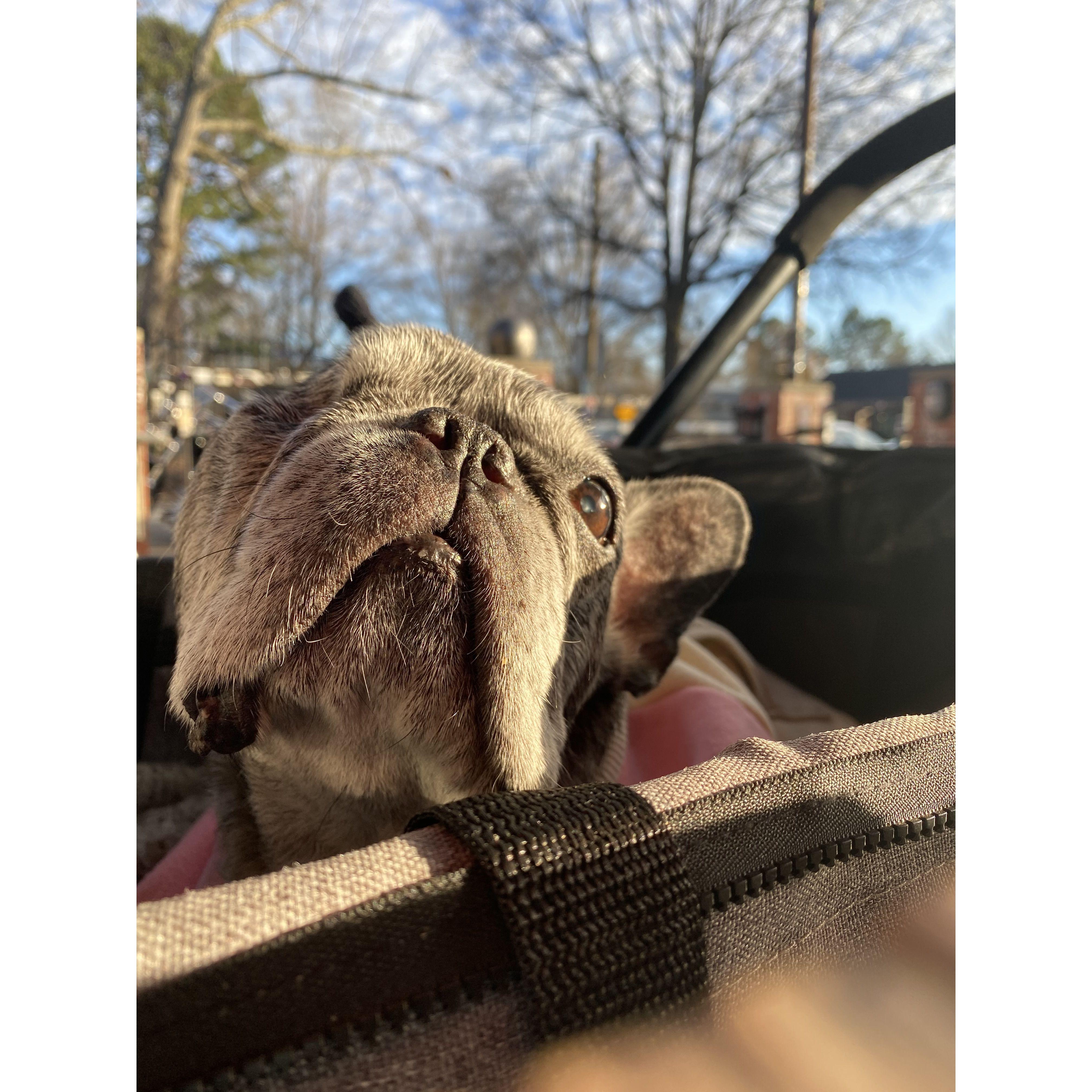 We miss our Lola so much!
