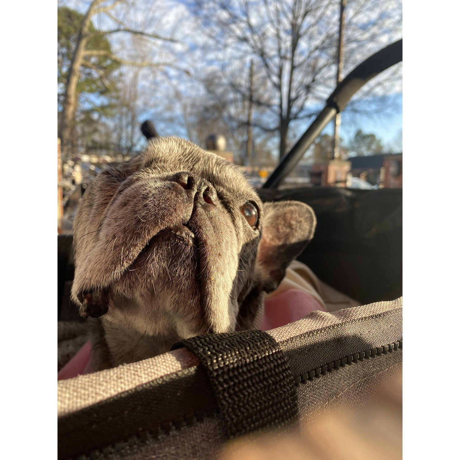 We miss our Lola so much!