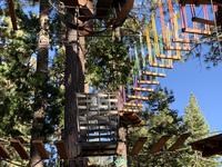 Tahoe Treetop Adventure Parks