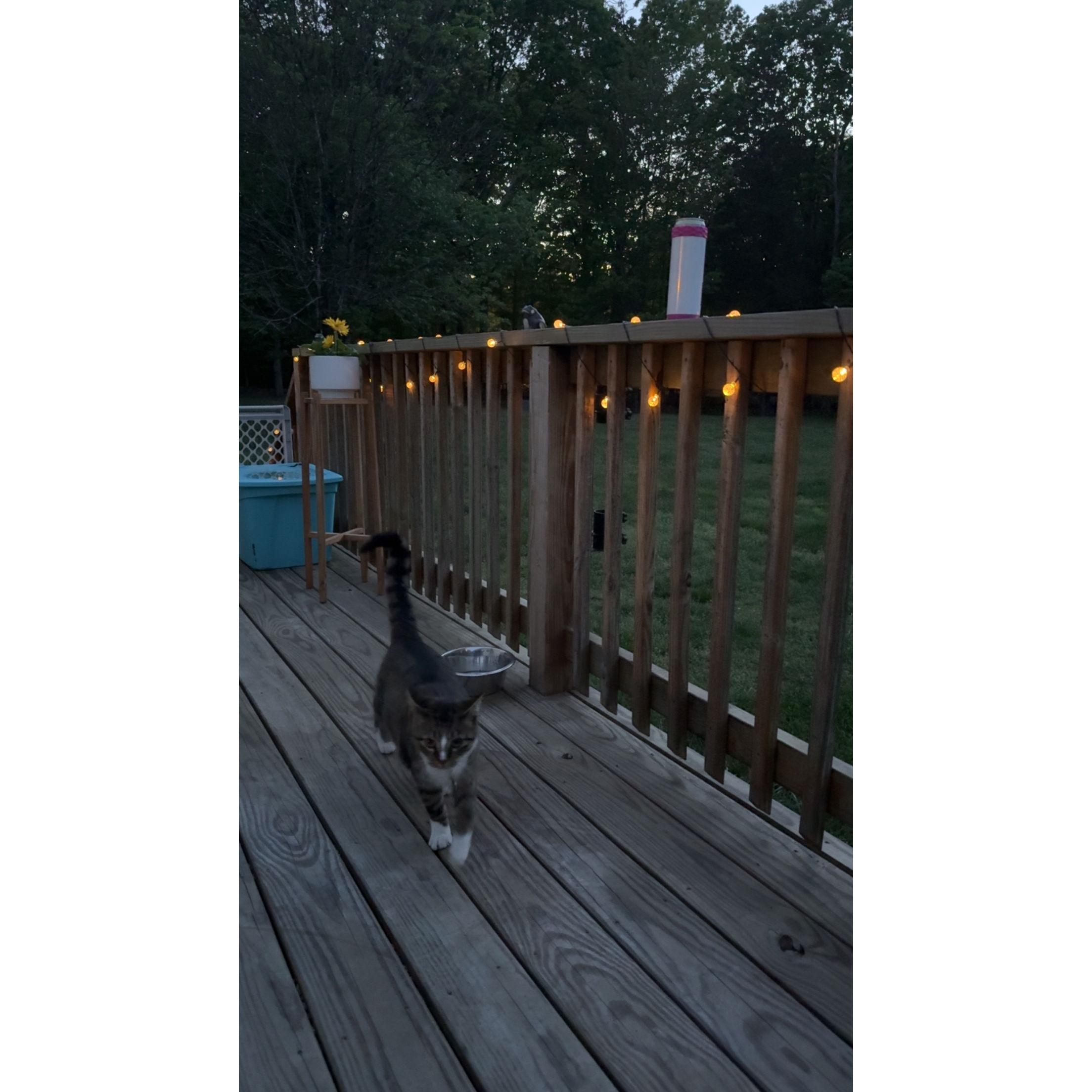 Jupiter, AKA Poopy Boy