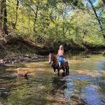 Ten Point Ranch