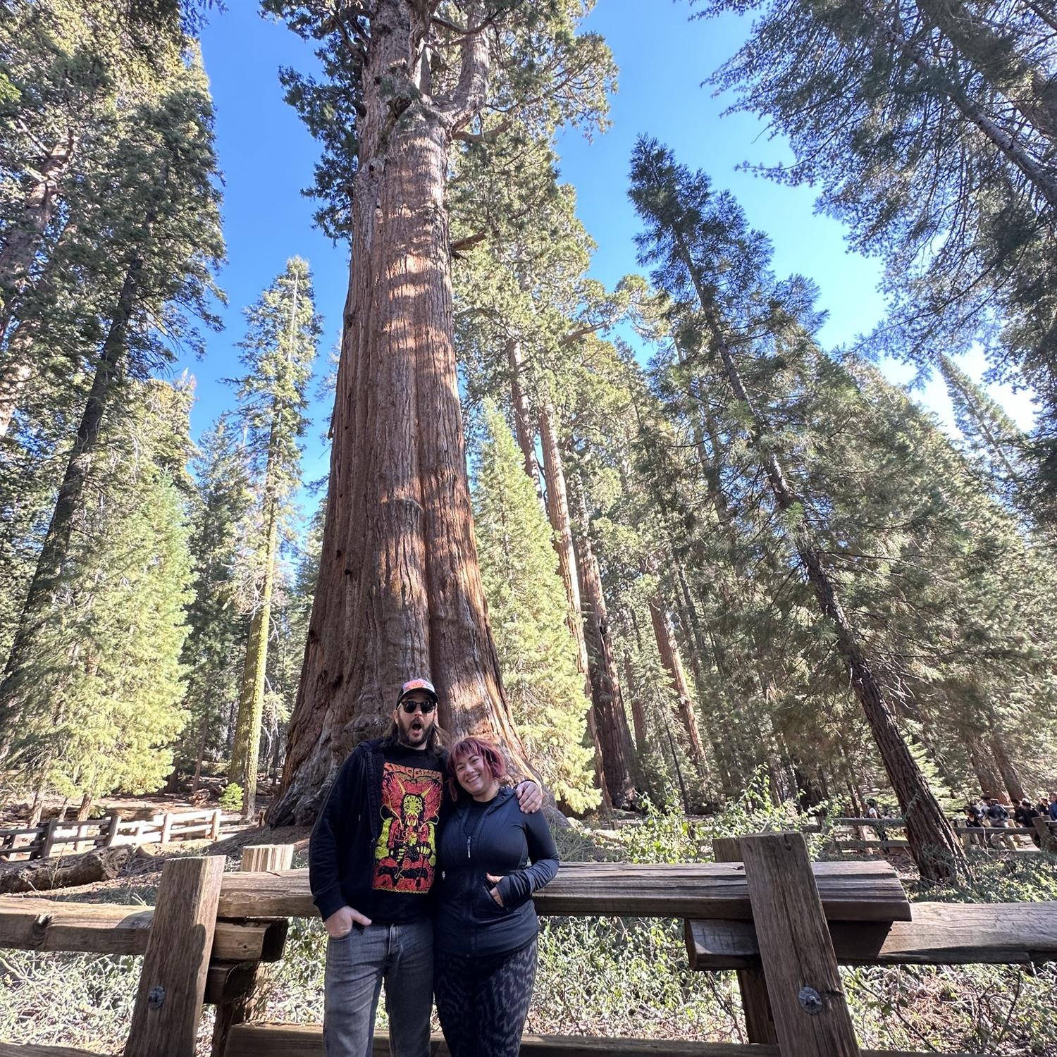 Visiting the world’s tallest tree, General Sherman, in Sequoia National Park. November 2023.