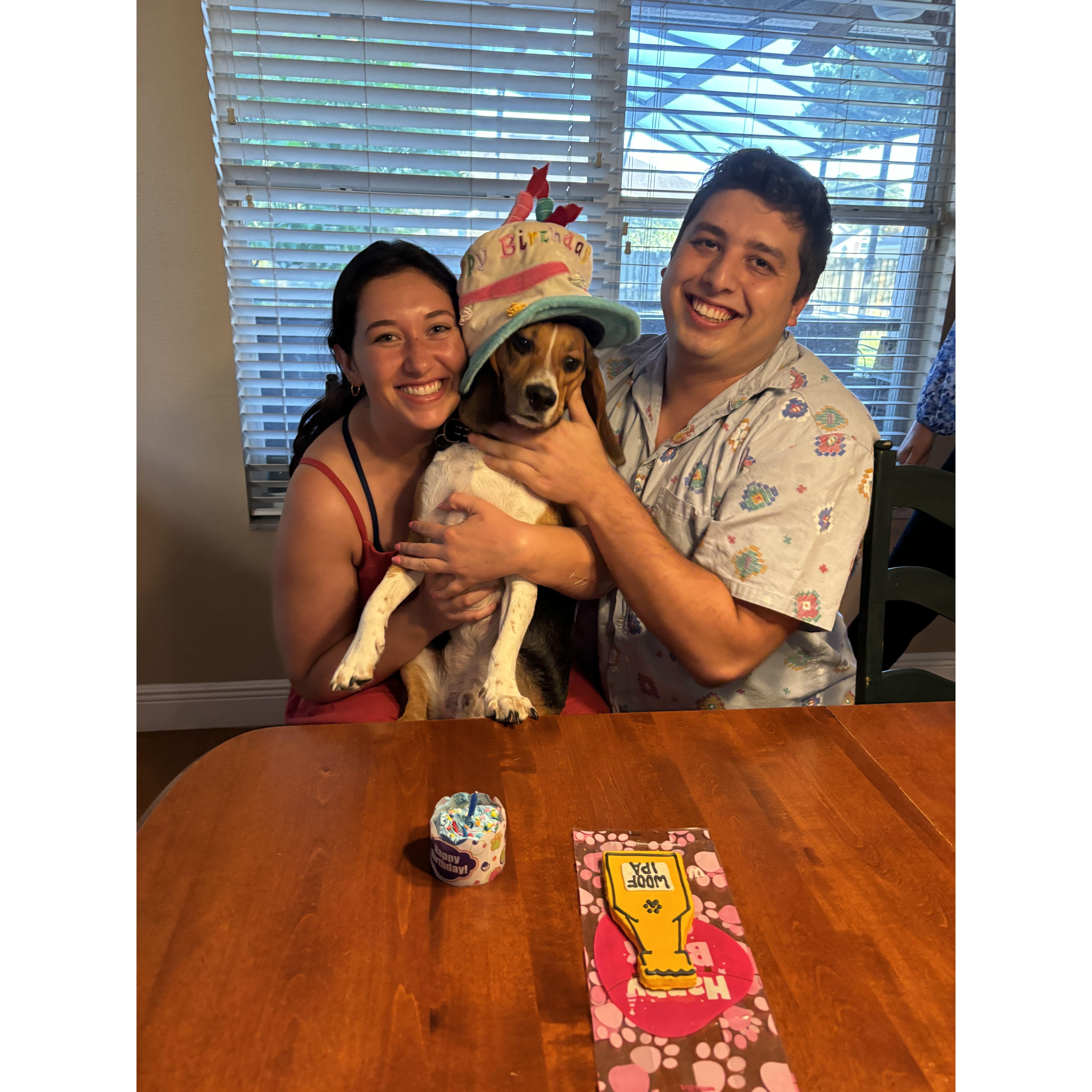 Apollo's 2nd Birthday