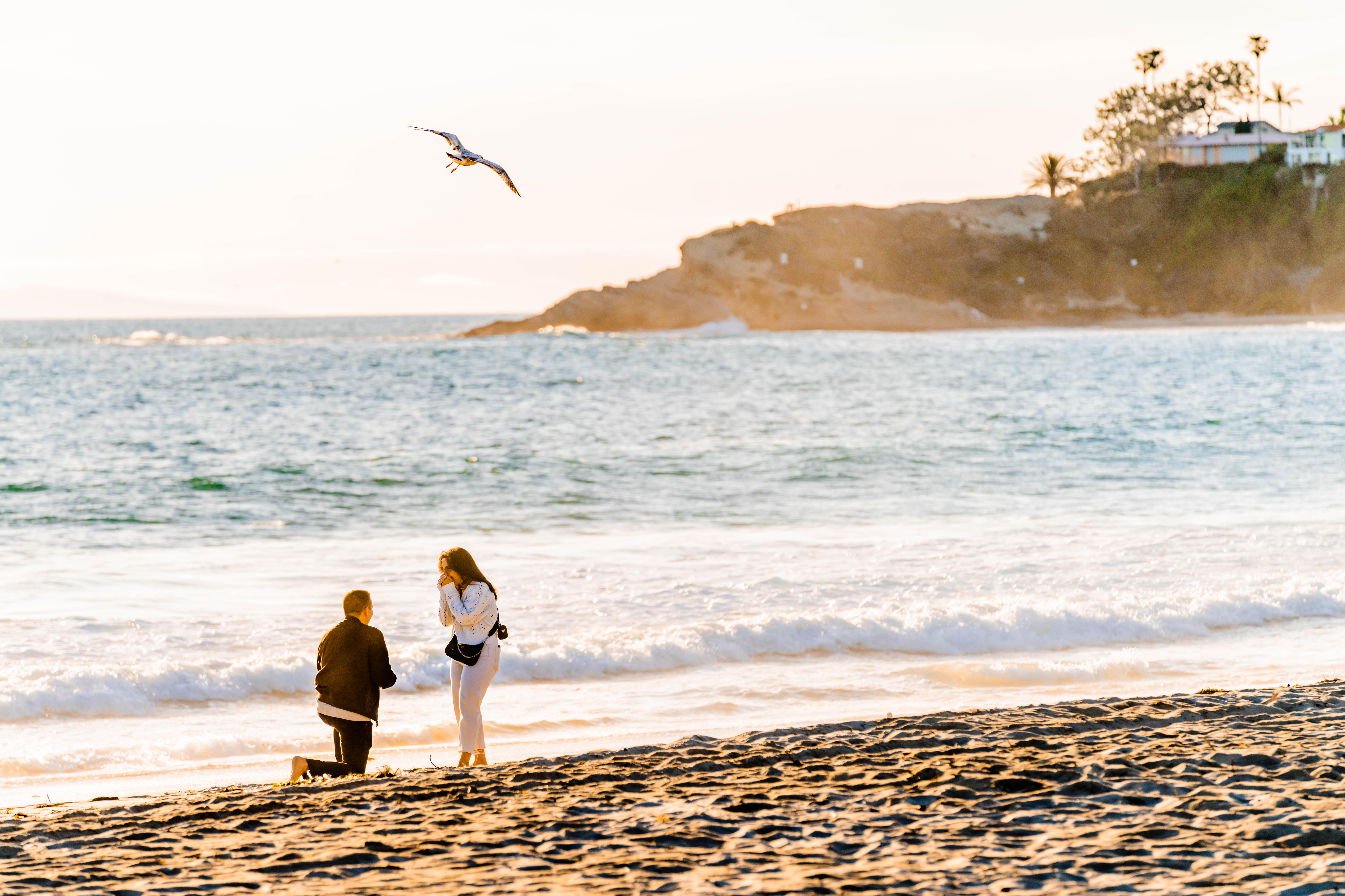 The Wedding Website of Donna Varamo and Devin Buonanno