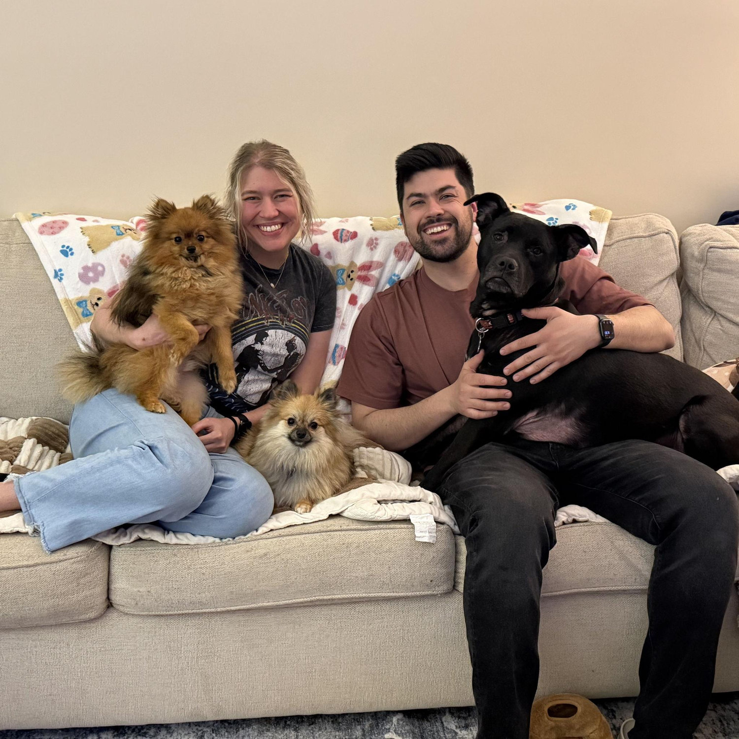 We love our 3 crazy pups!