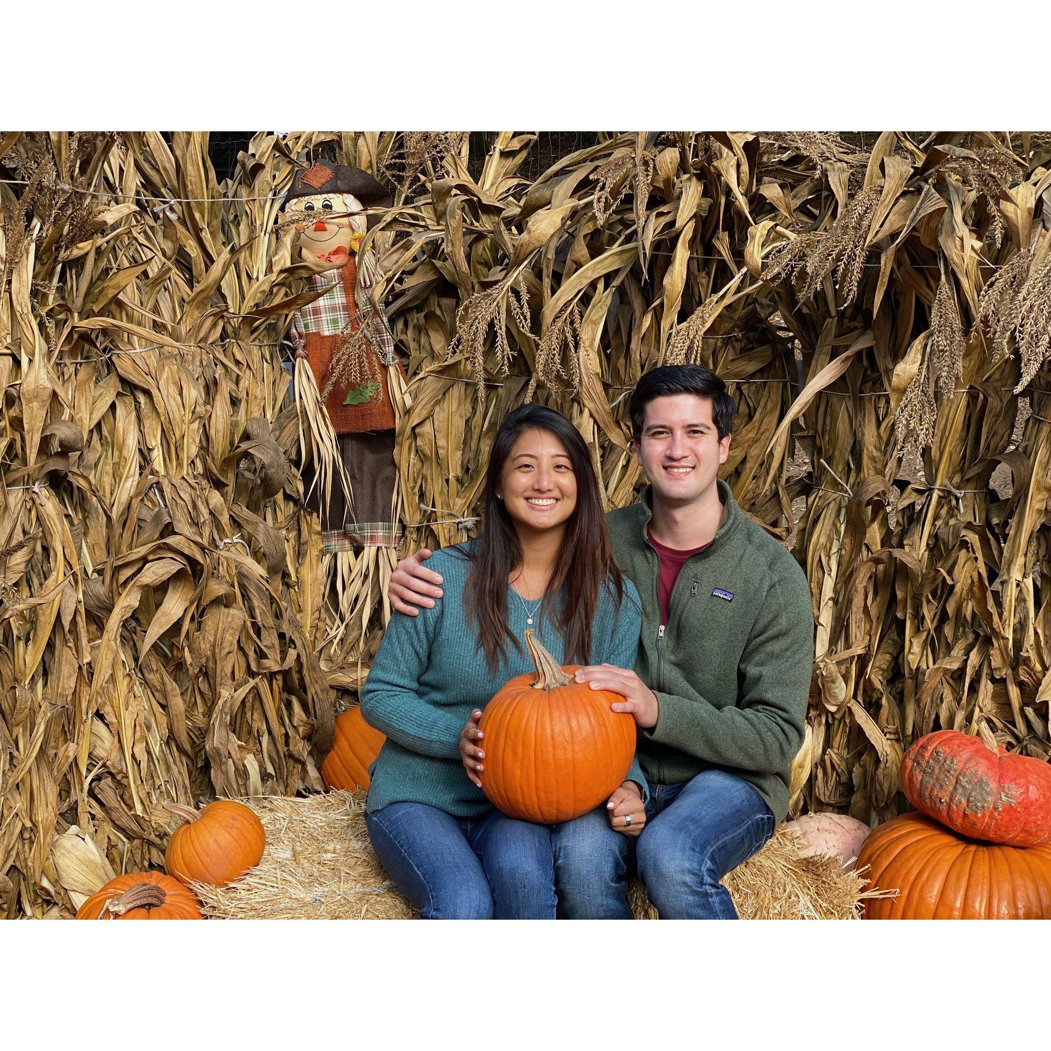 The iconic pumpkin photo