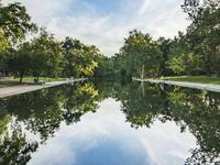 Sycamore Pool