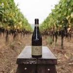 Soter Vineyards Tasting Room, by reservation