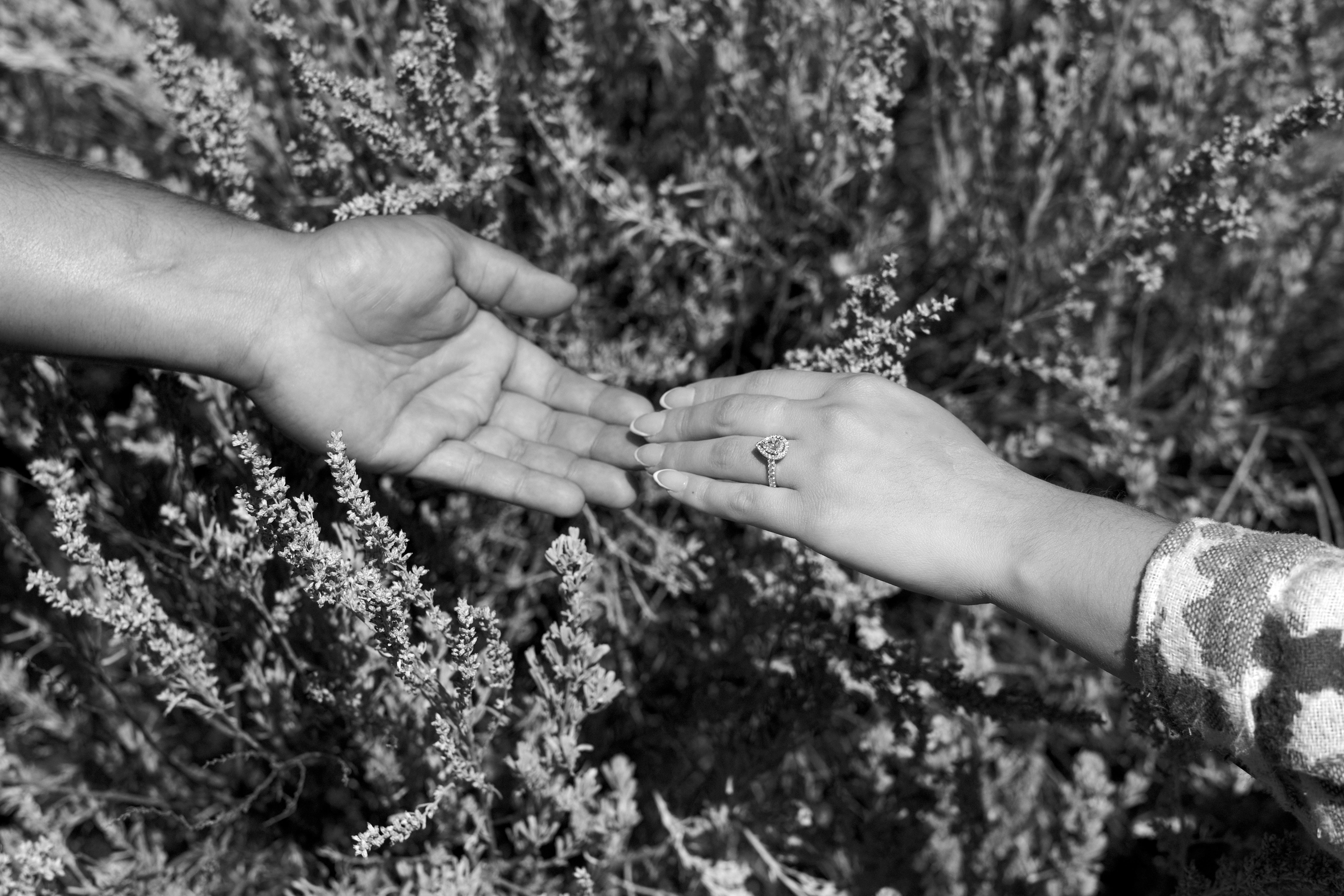 The Wedding Website of Christina Acosta and Benito Reyes