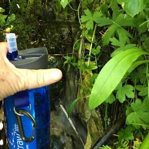 LifeStraw   Go Filter Bottle with 2-Stage Filtration - 22 fl.oz.