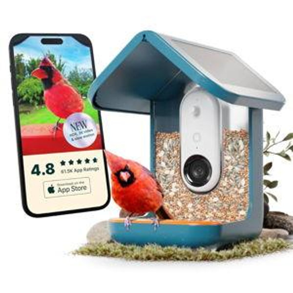 Bird Buddy: Smart Bird Feeder PRO