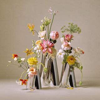 Lituus Stainless Steel Vase