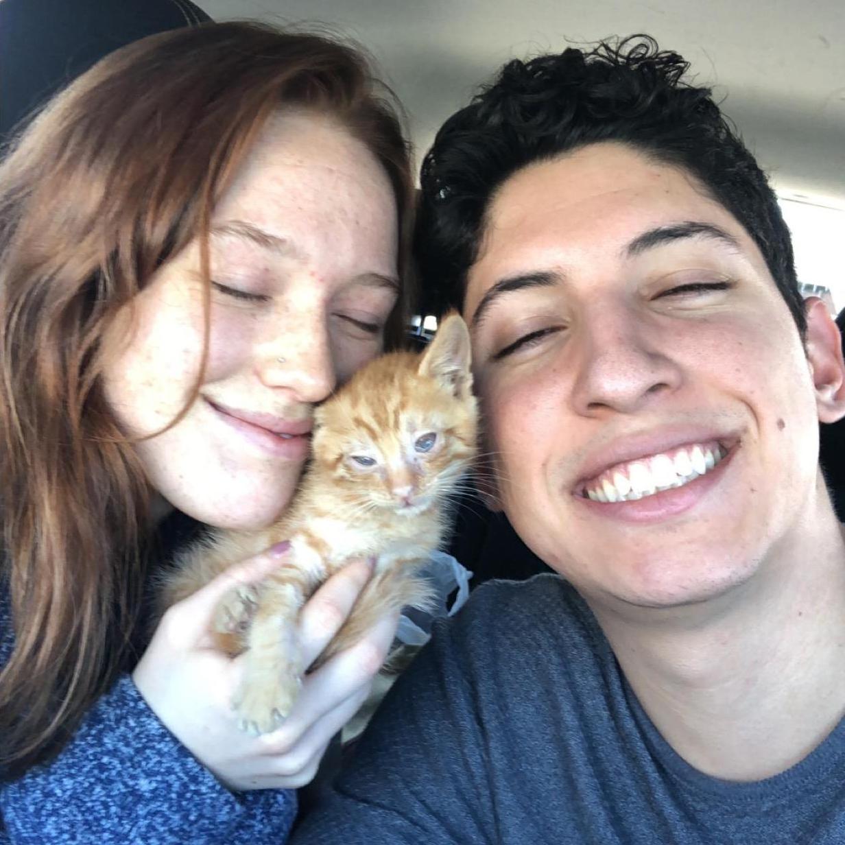 when we finally accepted that we were keeping the cat we found in the street and unexpectedly became cat parents