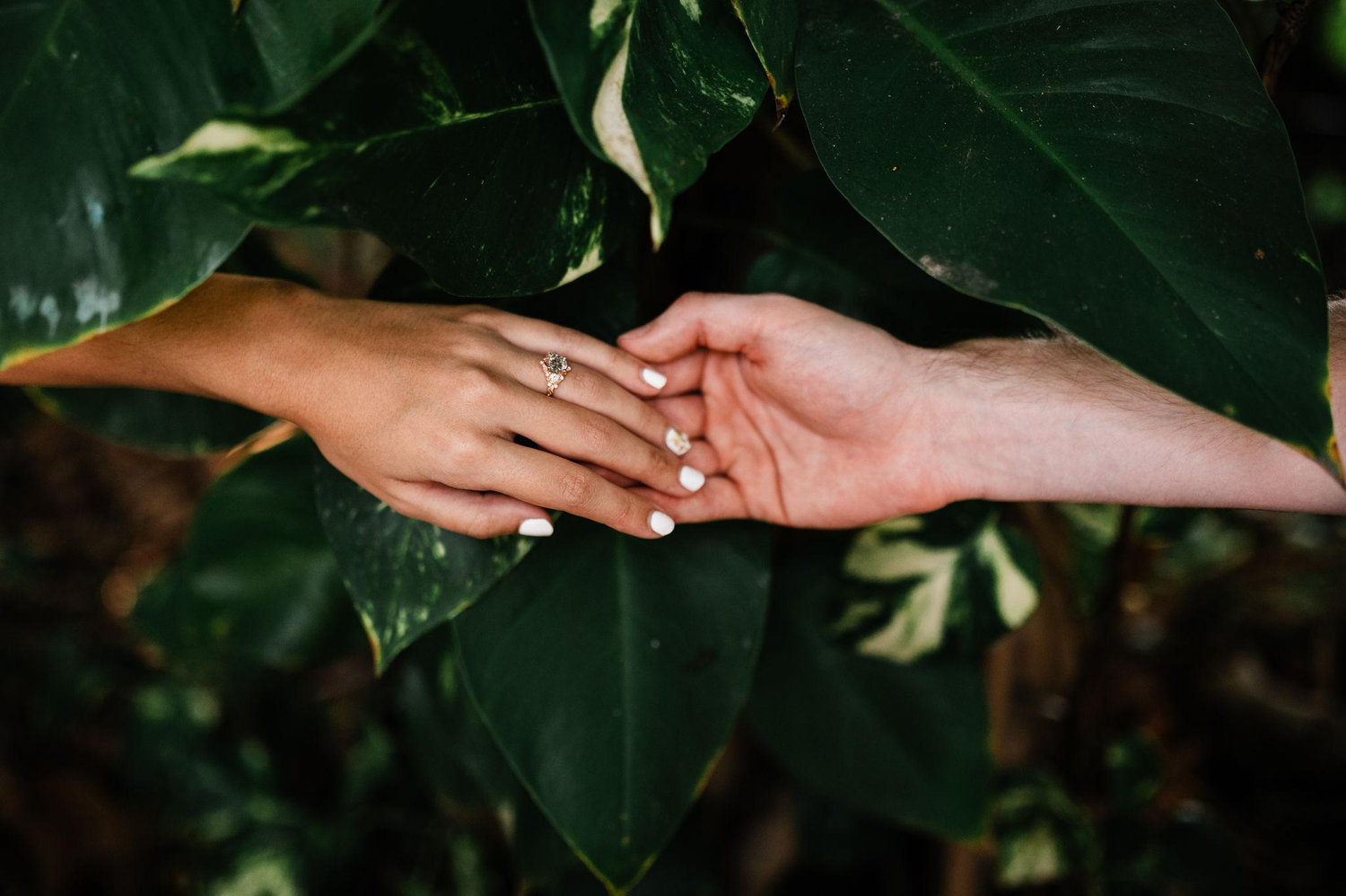 The Wedding Website of Corinne Antonelli and John Gnieski