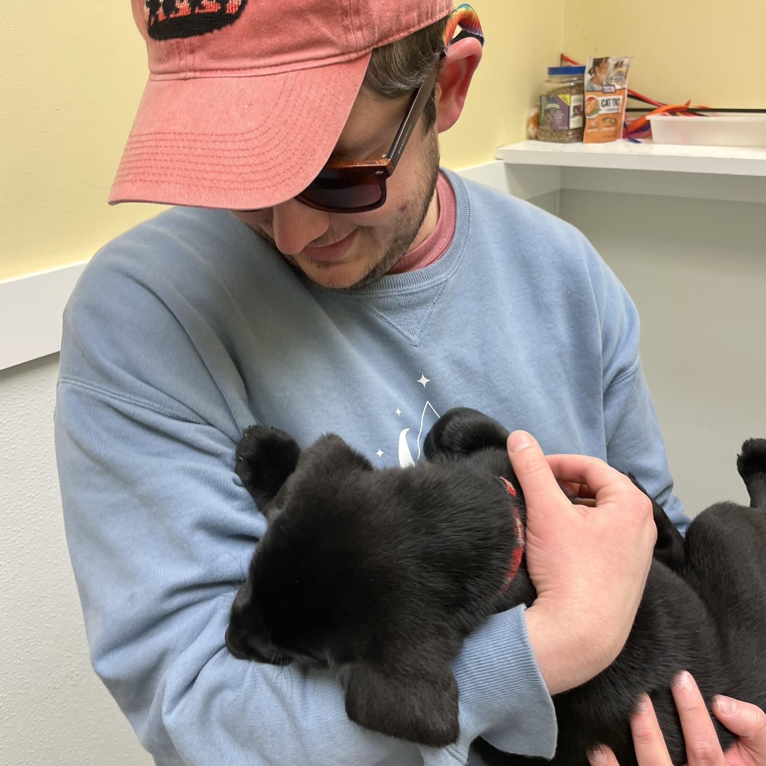 Let's get a puppy too!