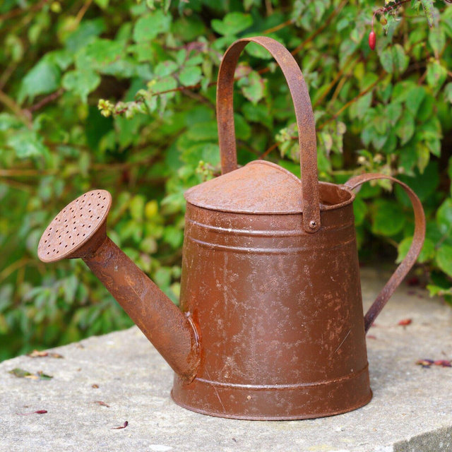 Large metal watering can vintage style Planter Flower Pot Garden Ornament | outdoor decoration iron