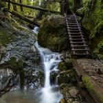 Mount Tamalpais Hike