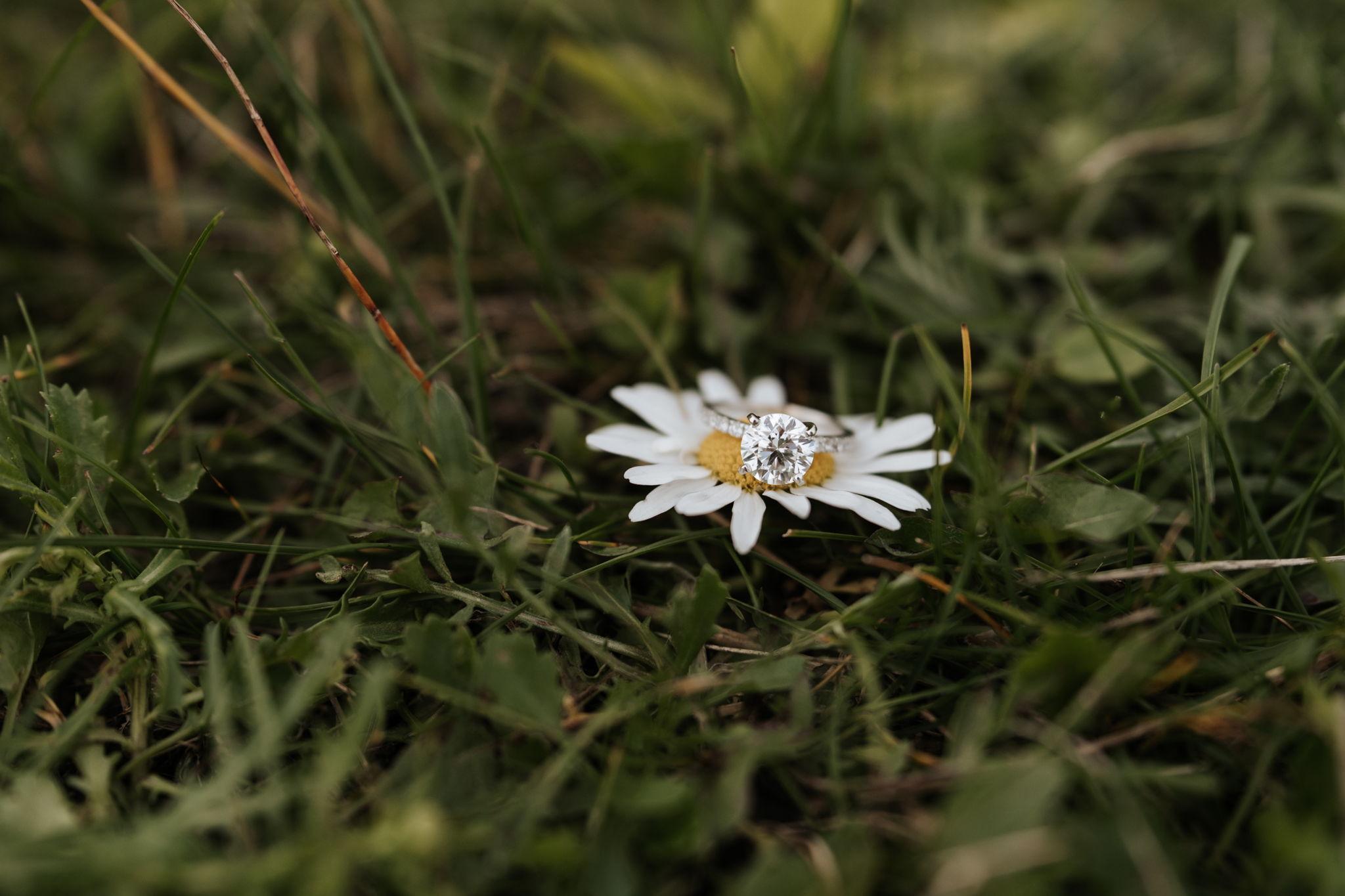 24adc136-8833-42f7-91d9-4063239a8221