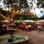 Gruene Grove