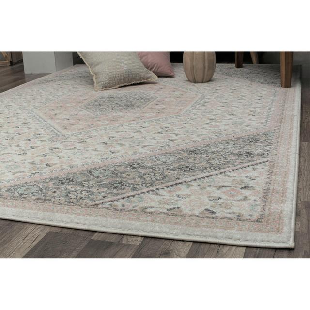 Rectangle 5' X 7' Fiedler Gray/Ivory/Pink Area Rug