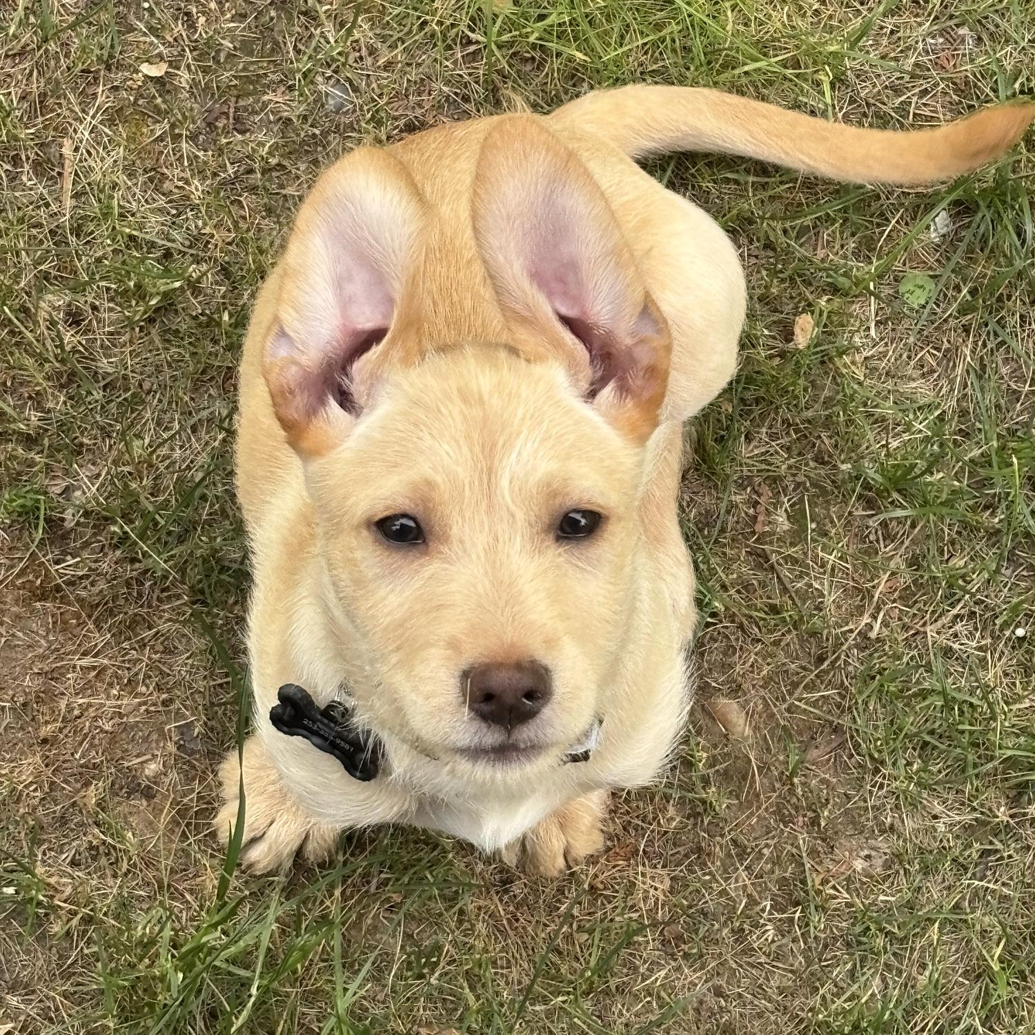 Harley <3