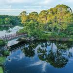 Morikami Museum and Japanese Gardens