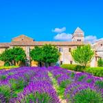 Saint-Rémy-de-Provence