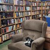 The Book Barn
