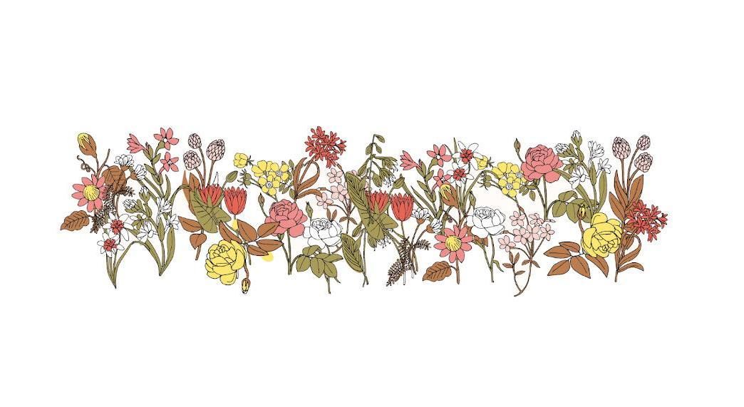 Footer image