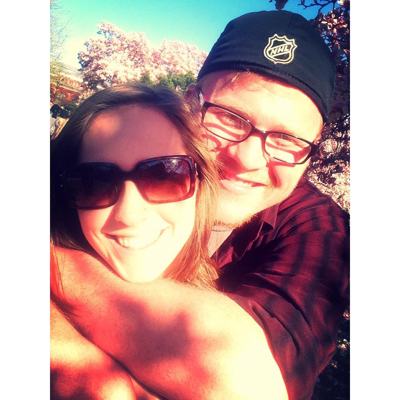 Cherry Blossom Festival